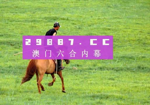 命运之码揭秘
