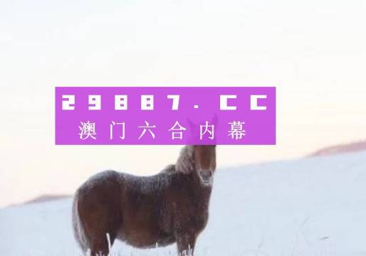 494949背后的故事