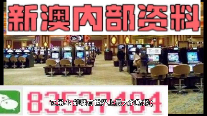 探索澳门，2024年新澳门正版免费大全的独特魅力，澳门探索之旅，揭秘2024年新澳门正版免费大全的独特魅力