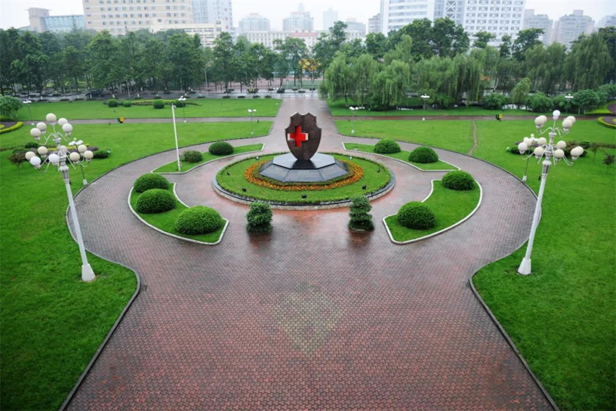 第三军医大学招生条件详解，第三军医大学招生条件全面解析