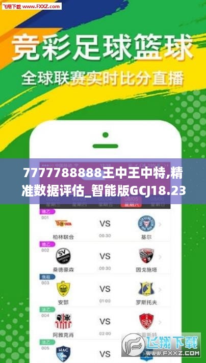 王中王53期期指一生肖——探寻神秘生肖文化中的奥秘与魅力，探寻神秘生肖文化魅力，王中王53期期指一生肖揭秘