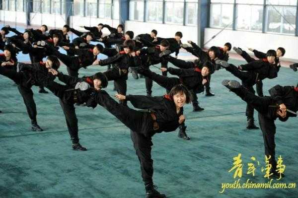 武警特种警察学院的位置及其重要性，武警特种警察学院位置与重要性概述