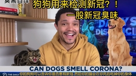 在哪里可以看到最新国际新闻，全球视野下的新闻动态捕捉，全球最新国际新闻动态，掌握全球视野下的新闻捕捉之道