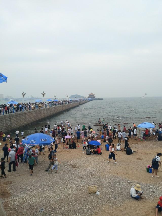 青岛舰尺寸，深度解析与对比，青岛舰尺寸深度解析与对比剖析