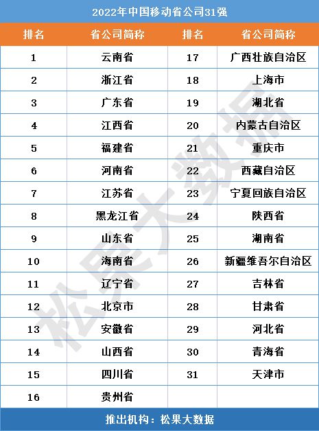 综合评估与深度解析