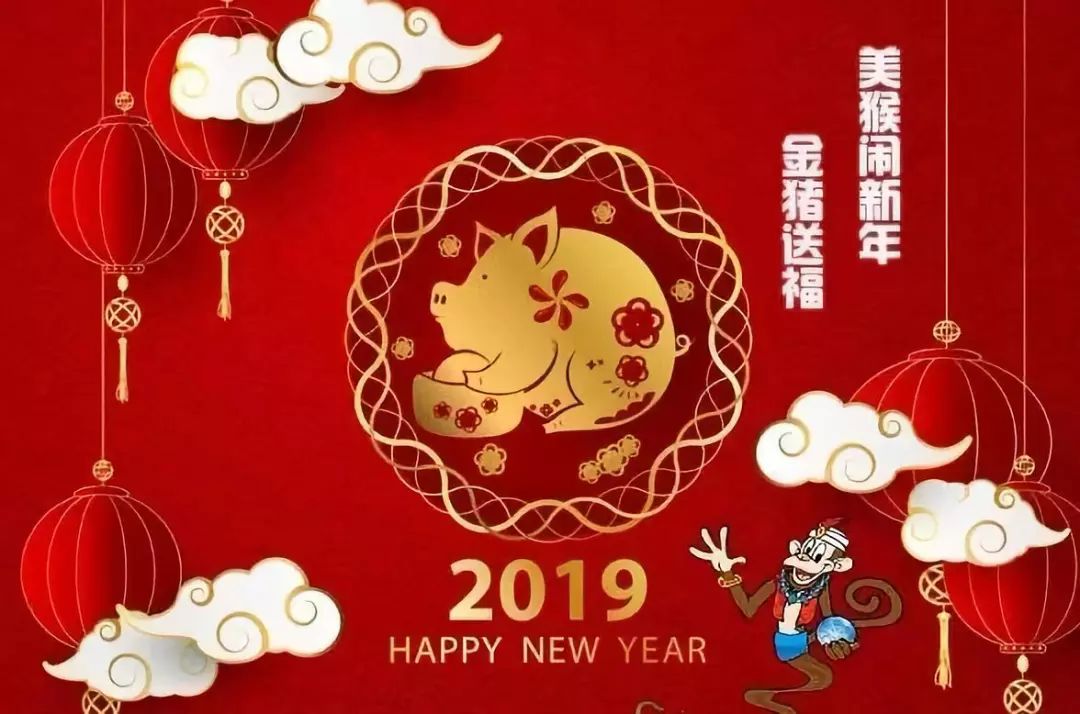 王中王六肖必中一期，揭秘彩票背后的秘密，揭秘彩票背后的秘密，王中王六肖必中一期彩票分析
