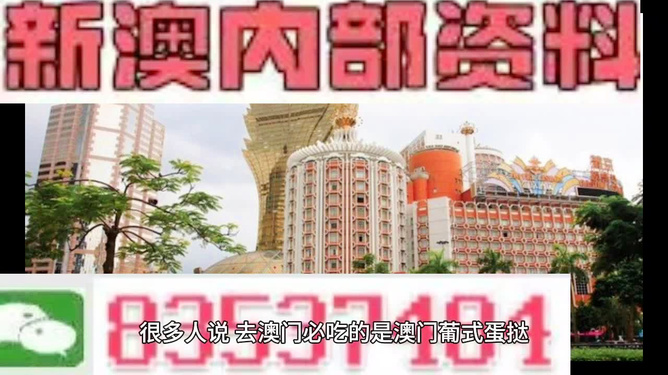 新澳门内部免费资料精准大全，探索与解析，澳门内部资料精准探索与解析大全