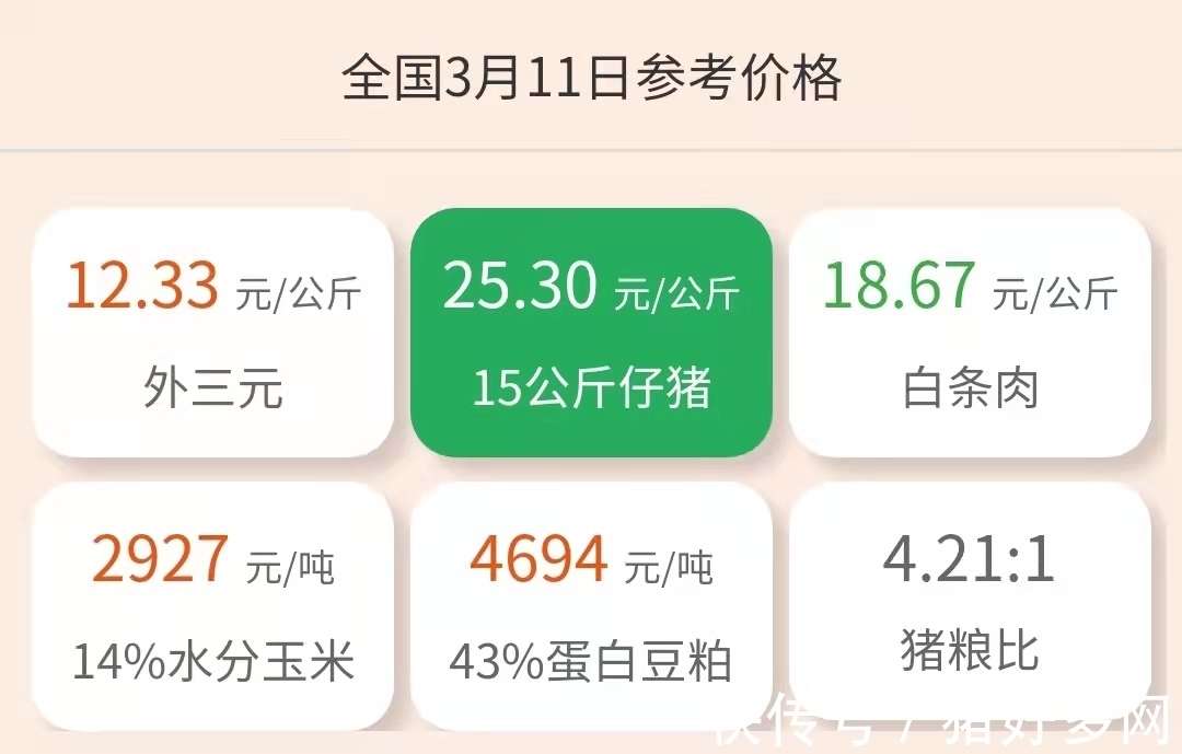 今天生猪价格的市场动态与影响因素分析，今日生猪价格市场动态及影响因素深度解析