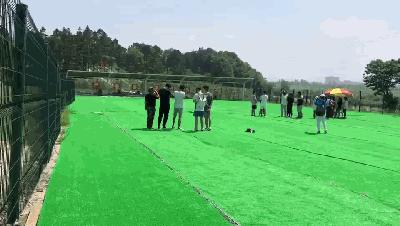 国防军事行动包括的关键要素与行动框架解析，国防军事行动的关键要素与行动框架深度解析