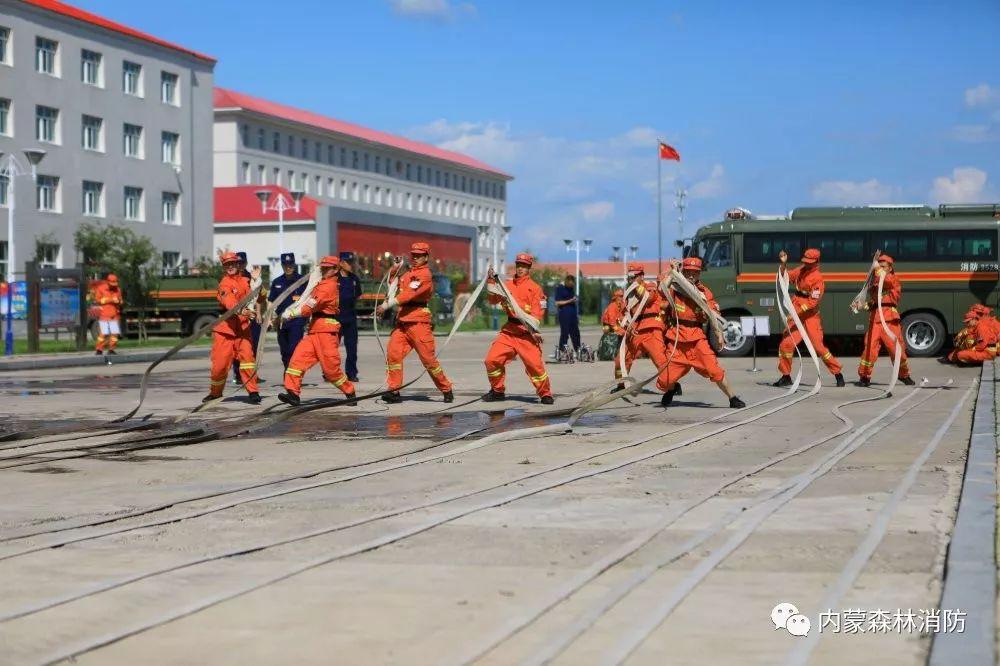 蛟龙突击队武警总队，守护国家安全的力量之源，蛟龙突击队武警总队，守护国家安全的力量基石
