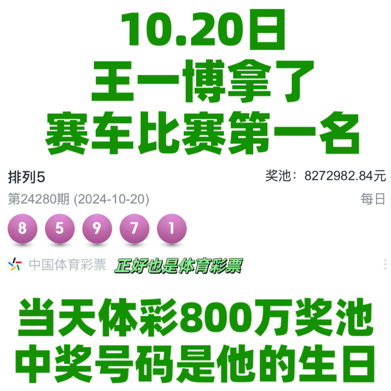 王中王与肖中特期准，精准预测的魅力与智慧，王中王与肖中特，精准预测的魅力和智慧展现