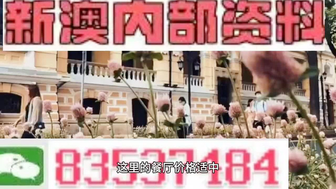 澳门最精准免费资料大全与旅游团，探索澳门之旅，澳门最全免费资料与旅游团攻略，探索澳门之旅的绝佳选择