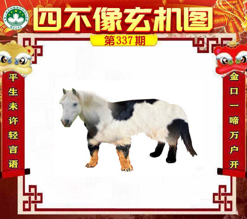 王中王四不象一肖中特，探索神秘文化符号背后的深层含义，神秘文化符号‘王中王四不象一肖中特’背后的深层含义探索