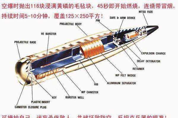 白杨M弹体结构的深度解析，白杨M弹体结构深度探究