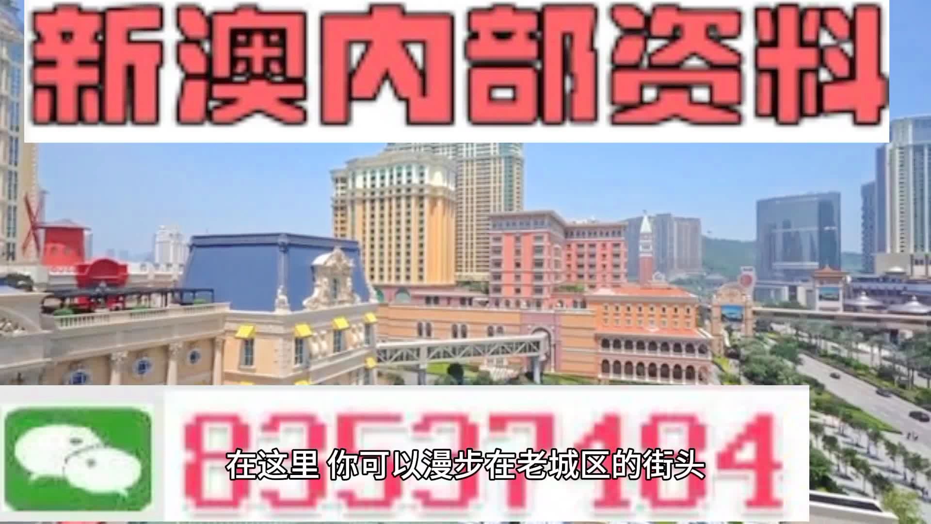 澳门精准三肖三码期期准，揭秘与探索，澳门精准三肖三码揭秘与探索之旅