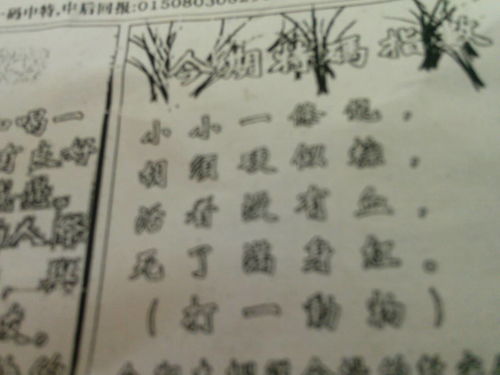 刘伯温期期精选一肖的独特预测艺术，解读93O58背后的秘密，刘伯温期期精选生肖预测揭秘，解读数字背后的秘密之道