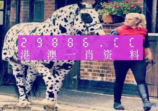 王中王一肖一马中特，探寻背后的故事与意义，探寻王中王一肖一马背后的故事与意义