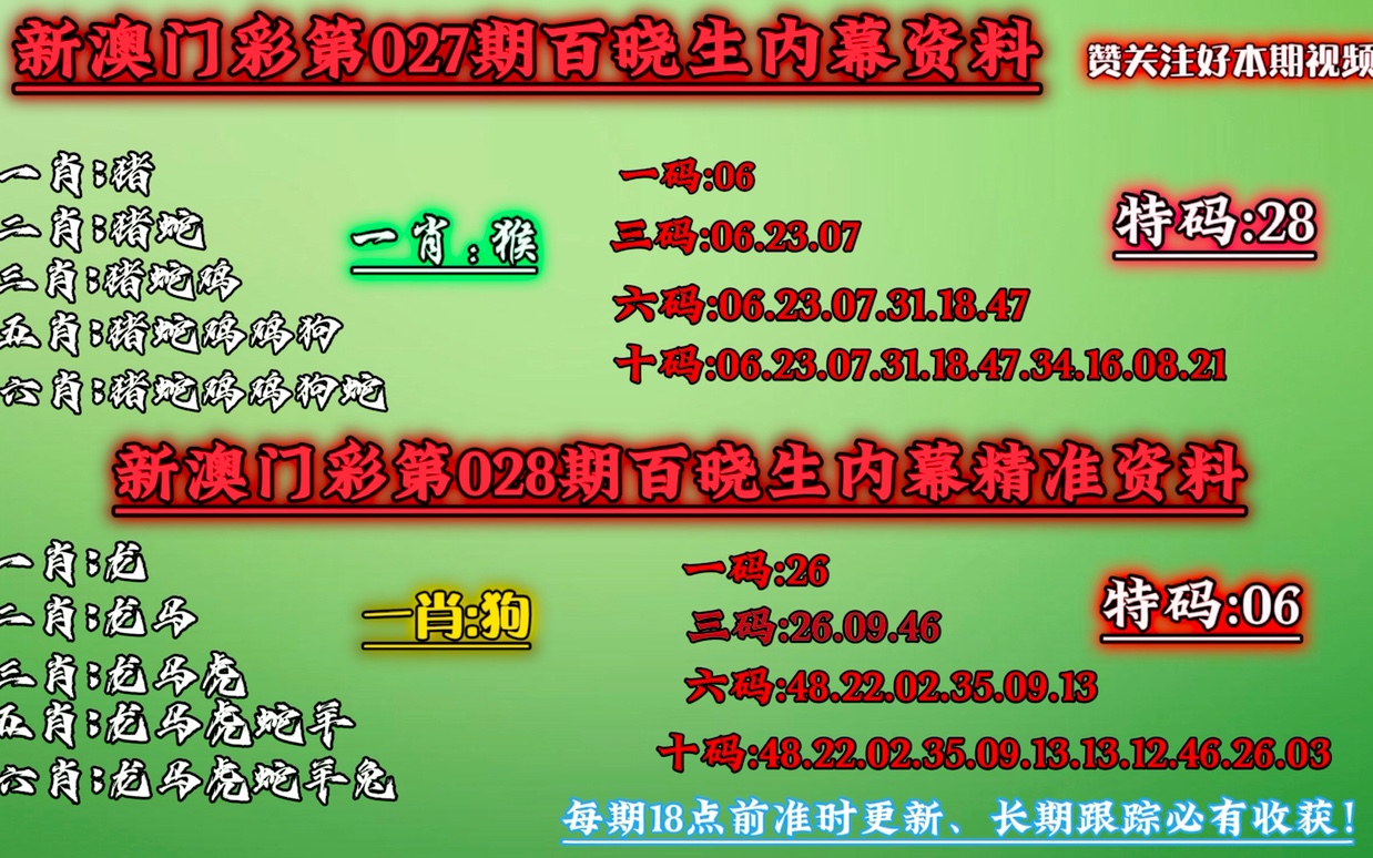 本期一肖一码，探索神秘数字背后的文化魅力，一肖一码，揭开数字背后的文化魅力