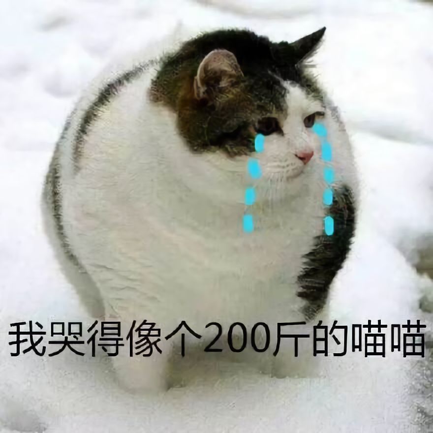 澳门一码一肖一待一中四不像，探索与解读，澳门神秘现象，一码一肖一待一中四不像的解读与探索