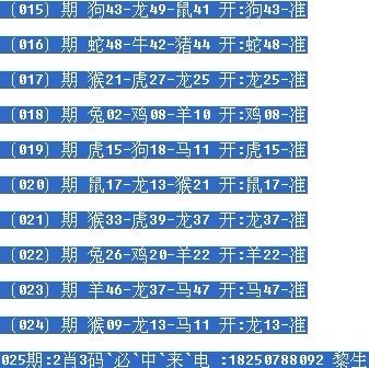 揭秘彩票秘密，两肖两码必中的奥秘与策略，揭秘彩票两肖两码必中的奥秘与策略攻略
