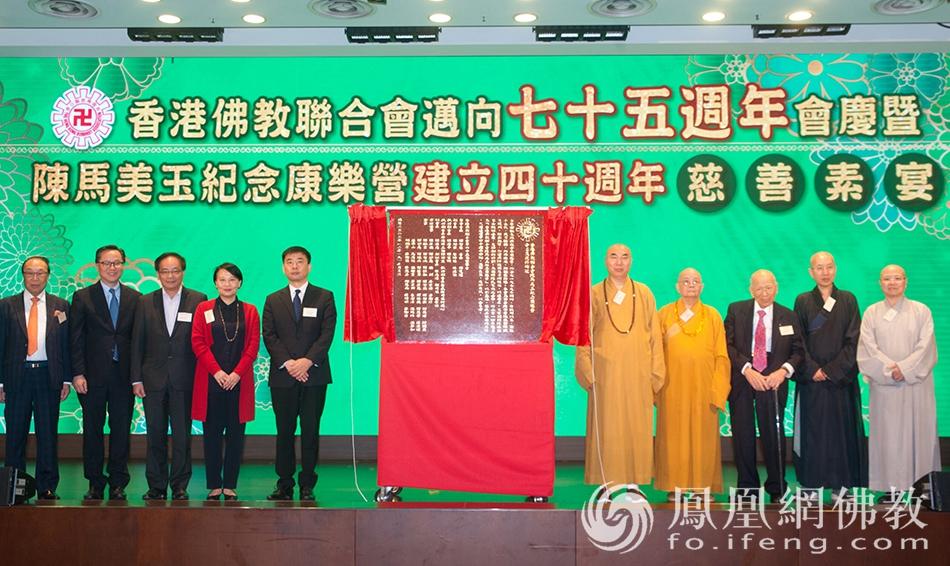 香港凤凰网最新新闻深度解析，香港凤凰网最新新闻深度解读报告