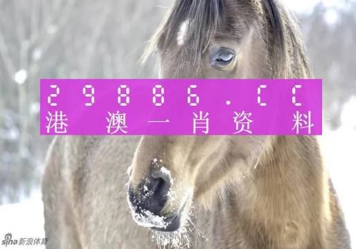澳门一肖一码，百分之百精准的神秘背景故事，澳门神秘一肖一码，百分之百精准的传奇故事