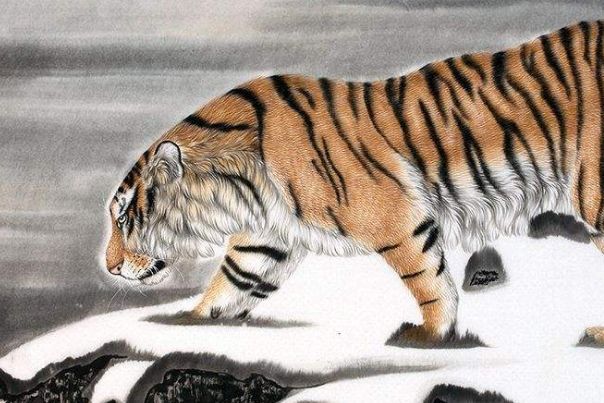 王中王猛虎报平特一肖——探寻背后的故事与意义，王中王猛虎报平特一肖，背后的故事与意义探寻