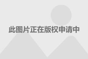 中国海军831扫雷舰，捍卫海域安全的先锋力量，中国海军831扫雷舰，捍卫海域安全的锐利先锋
