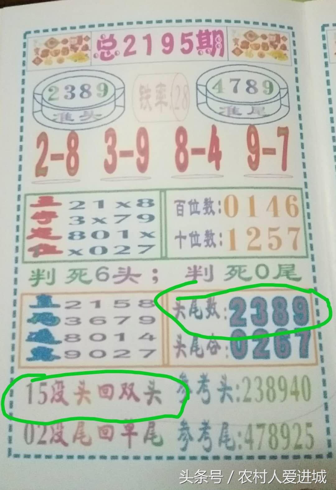 一肖免费中特资料期期准，深度解析与实用指南，一肖免费中特资料期期准，深度解析与实用指南全攻略