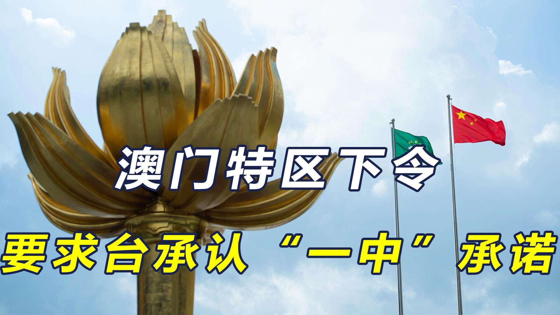 探索未来澳门，一码一肖一特一中与文化的融合，澳门未来探索，一码一肖一特一中与文化融合之旅
