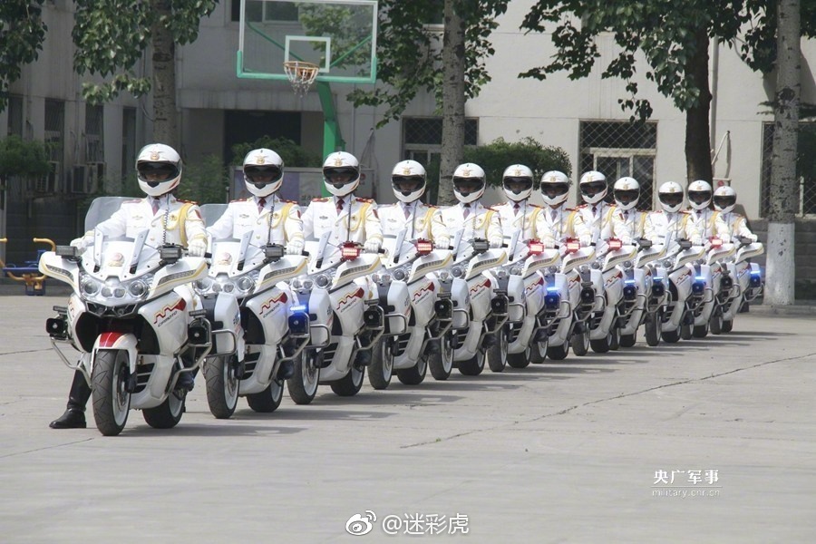 护卫队与警察，职责、角色与身份的探讨，护卫队与警察，职责、角色与身份的深度探讨