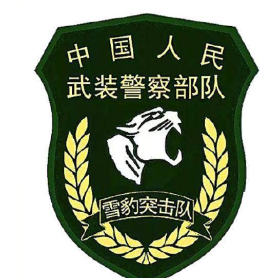 武警雪豹突击队旗，荣耀与担当的象征，武警雪豹突击队队旗，荣耀与担当的标志性象征