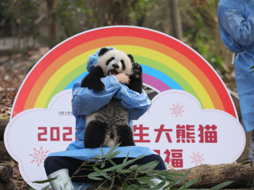 澳门 第186页