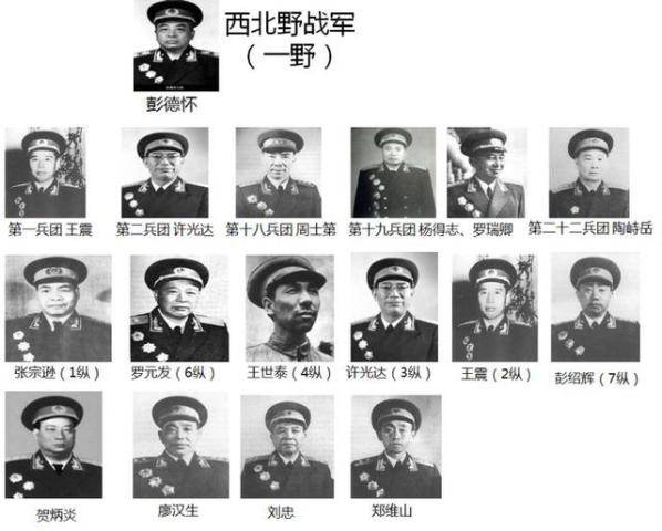 原十四军现今归属及历史沿革探讨，原十四军的历史沿革与现今归属探讨