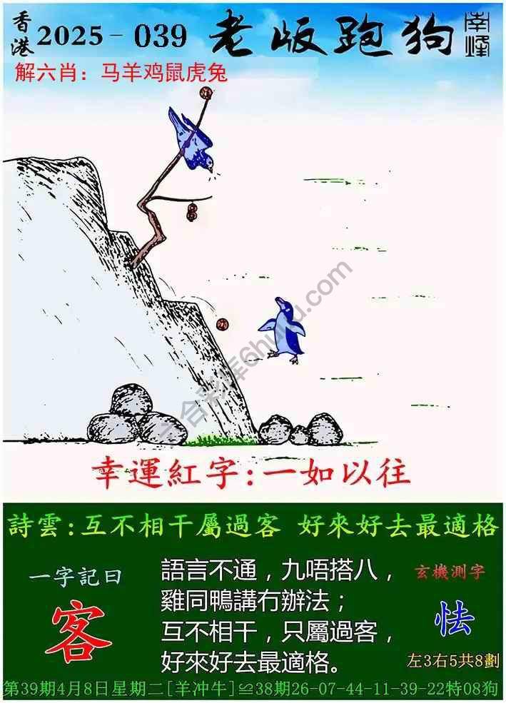 澳门跑狗图2023年今晚，探索神秘预测与文化的交融，澳门跑狗图2023年今晚，神秘预测与文化交融的探索