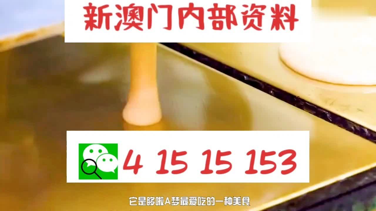 澳门一肖三码必中特，探索命运之轮的奥秘，澳门一肖三码命运之轮奥秘探索