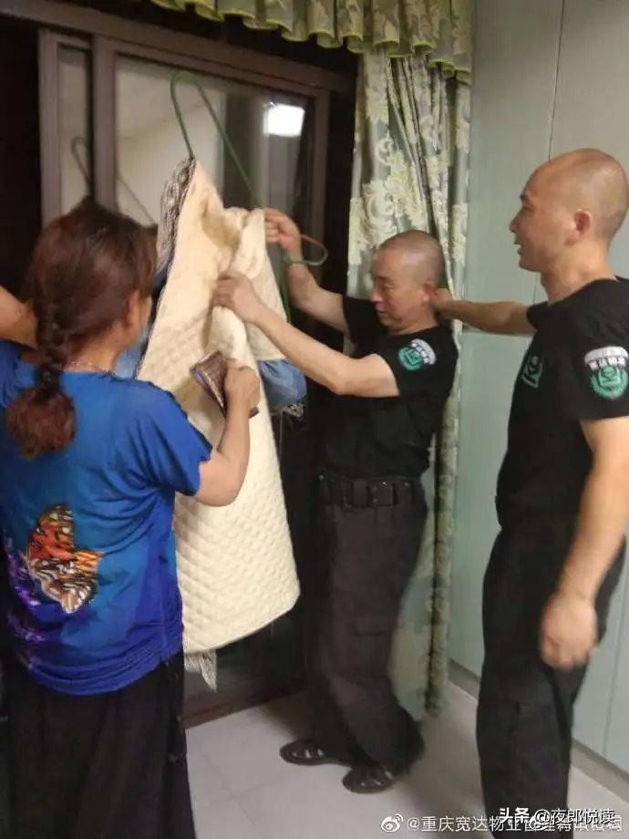 一肖二码中特，揭秘精准预测背后的秘密与真相，揭秘一肖二码中特精准预测背后的真相与秘密