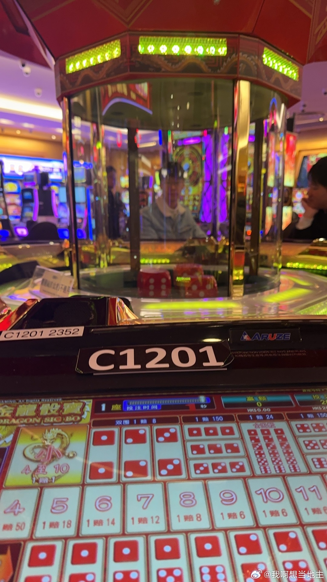 葡京王中王一肖中特的独特魅力与神秘色彩，葡京王中王一肖的独特魅力与神秘色彩揭秘