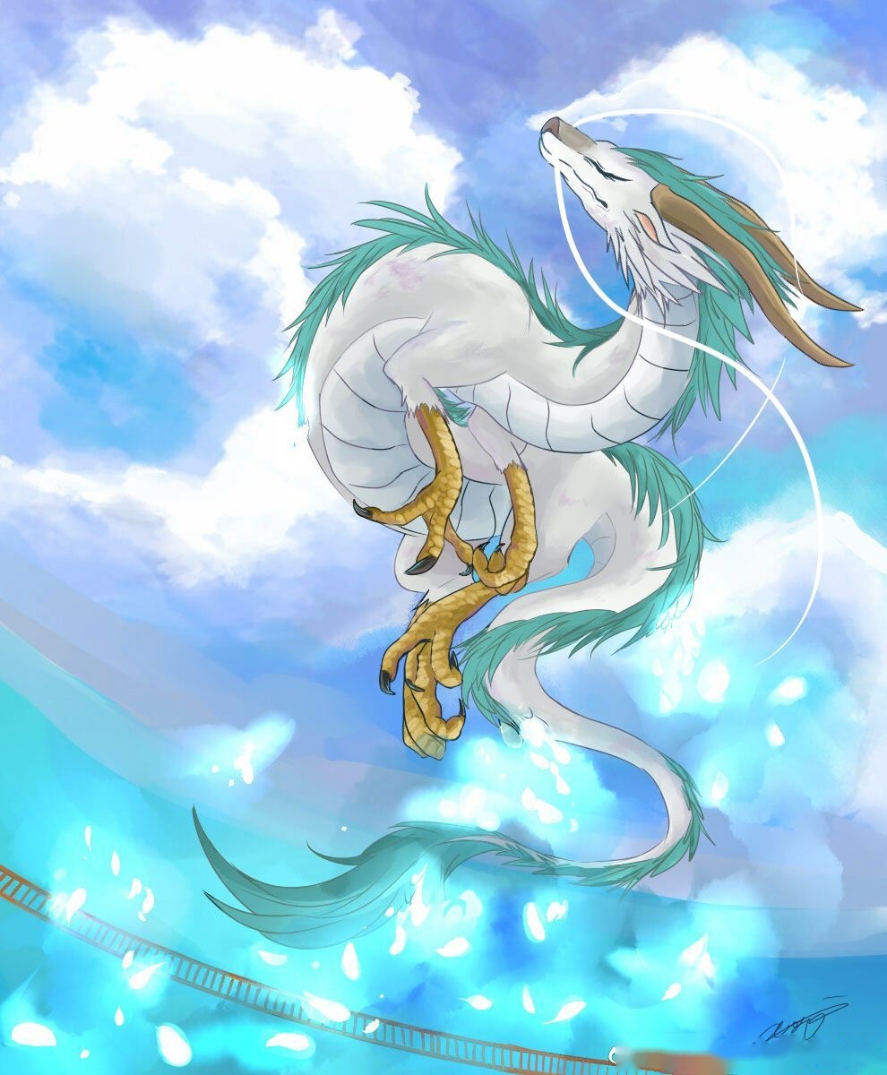 揭秘神秘的052白龙，从历史到现实的多维度解读，揭秘神秘的052白龙，多维度解读历史与现实