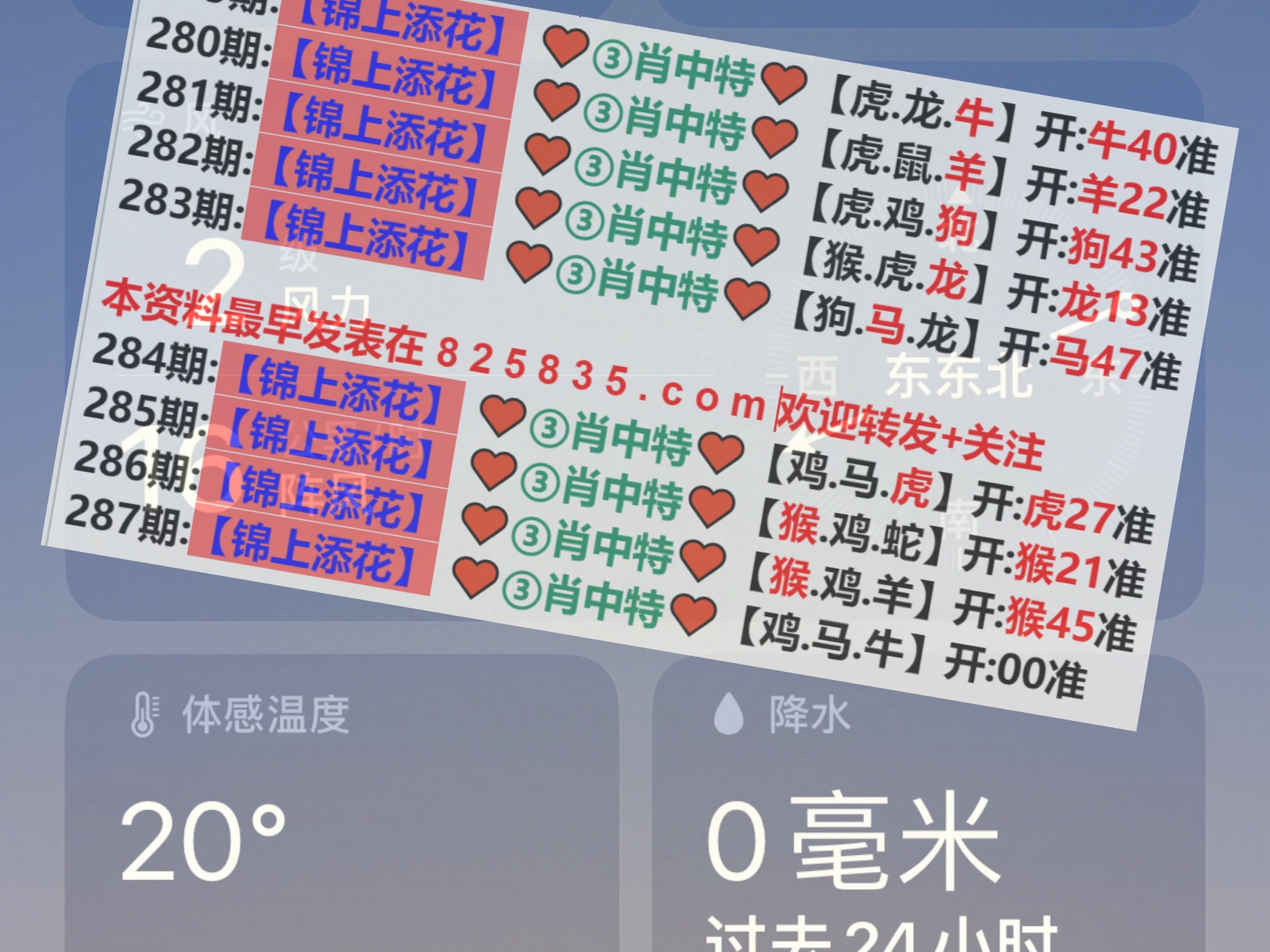 揭秘新澳2025年精准一肖一码，预测背后的真相与探索，揭秘新澳2025年精准生肖一码，真相探索与预测背后的秘密