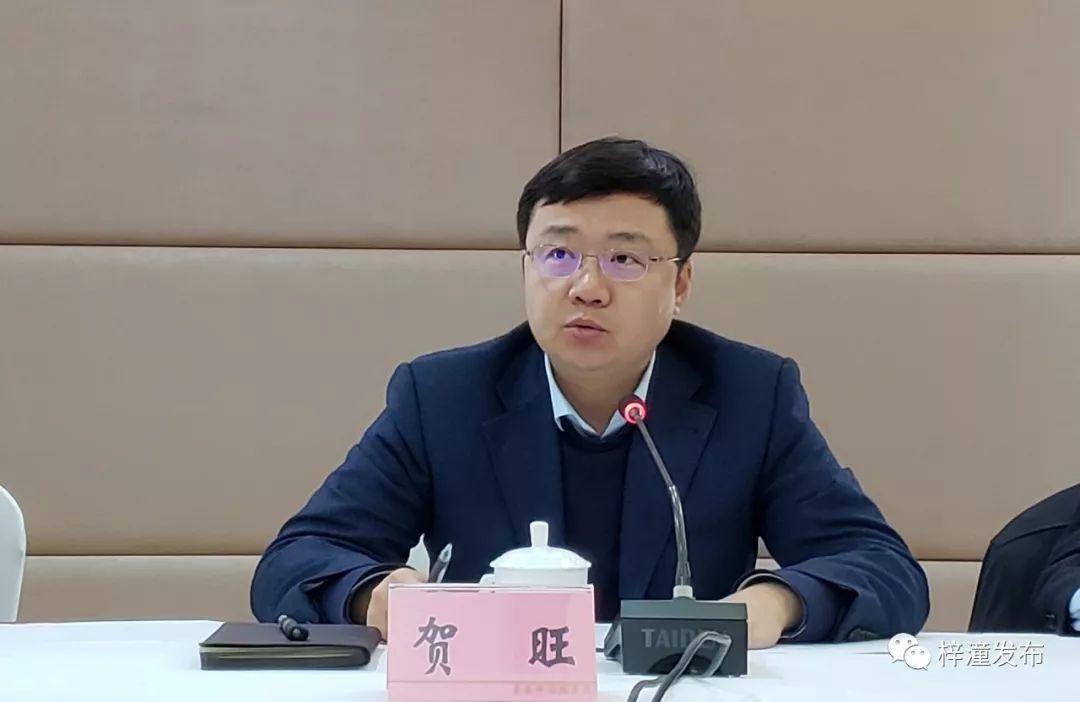 深度解析/解读与分析
