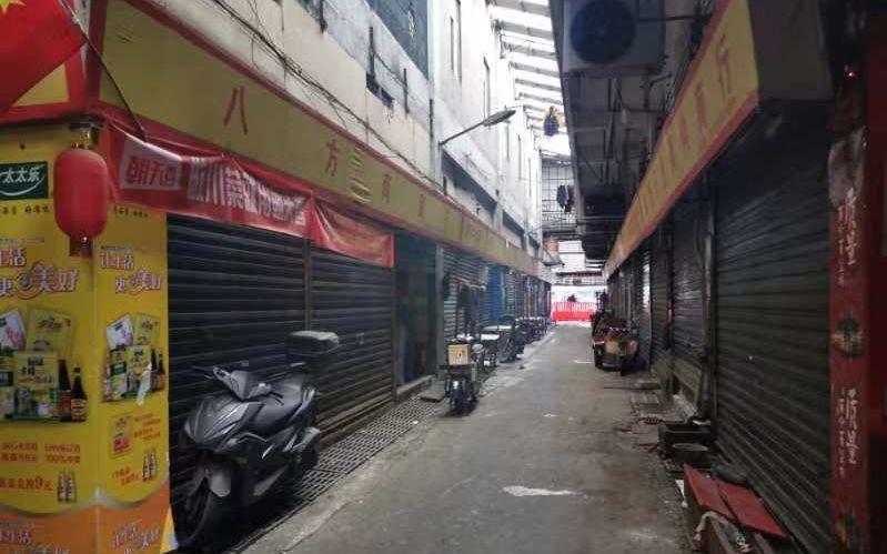 华南海鲜市场老板现状深度探究，华南海鲜市场老板现状深度剖析