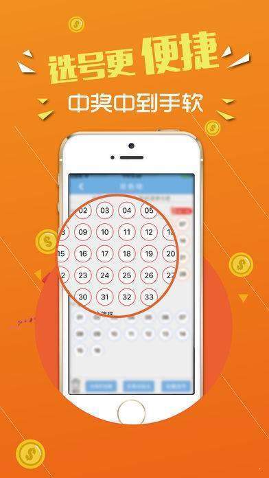 探索数字世界中的奥秘，王中王与数字组合的未来展望（2024展望），数字世界的奥秘探索，王中王与未来数字组合展望（2024年展望）