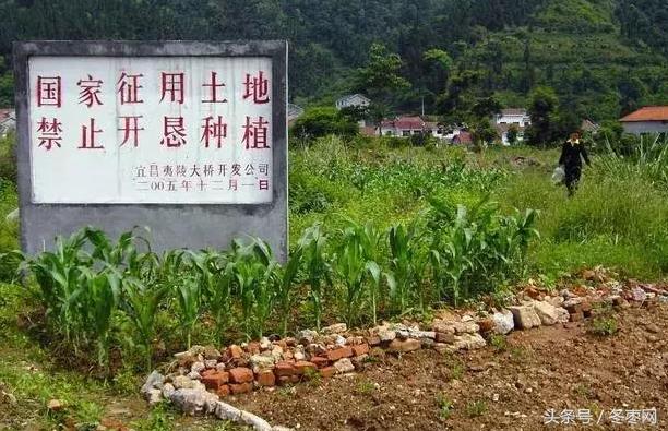 举报网站，守护网络安全的重要力量，举报网站，网络安全的重要守护者