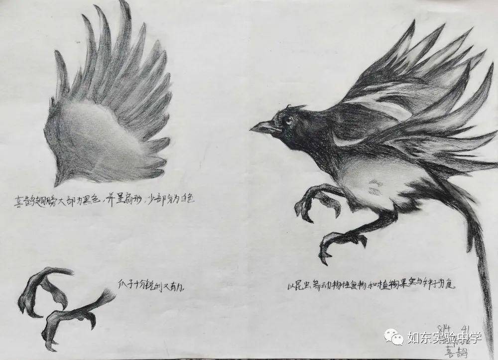 歼 第4页