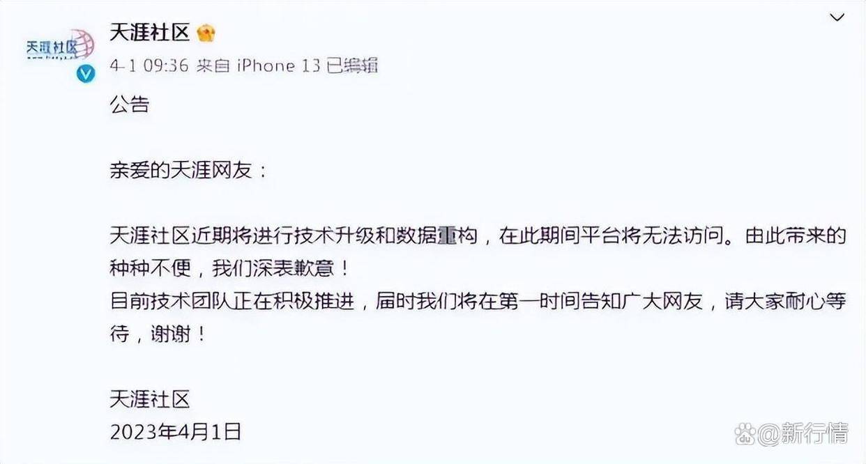 天涯论坛的兴衰与未来的探讨，天涯论坛的兴衰历程与未来发展探讨