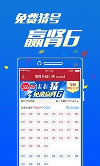 白小姐六肖选一，揭秘王中王的神秘面纱，揭秘白小姐六肖选一背后的神秘面纱，王中王的秘密揭晓