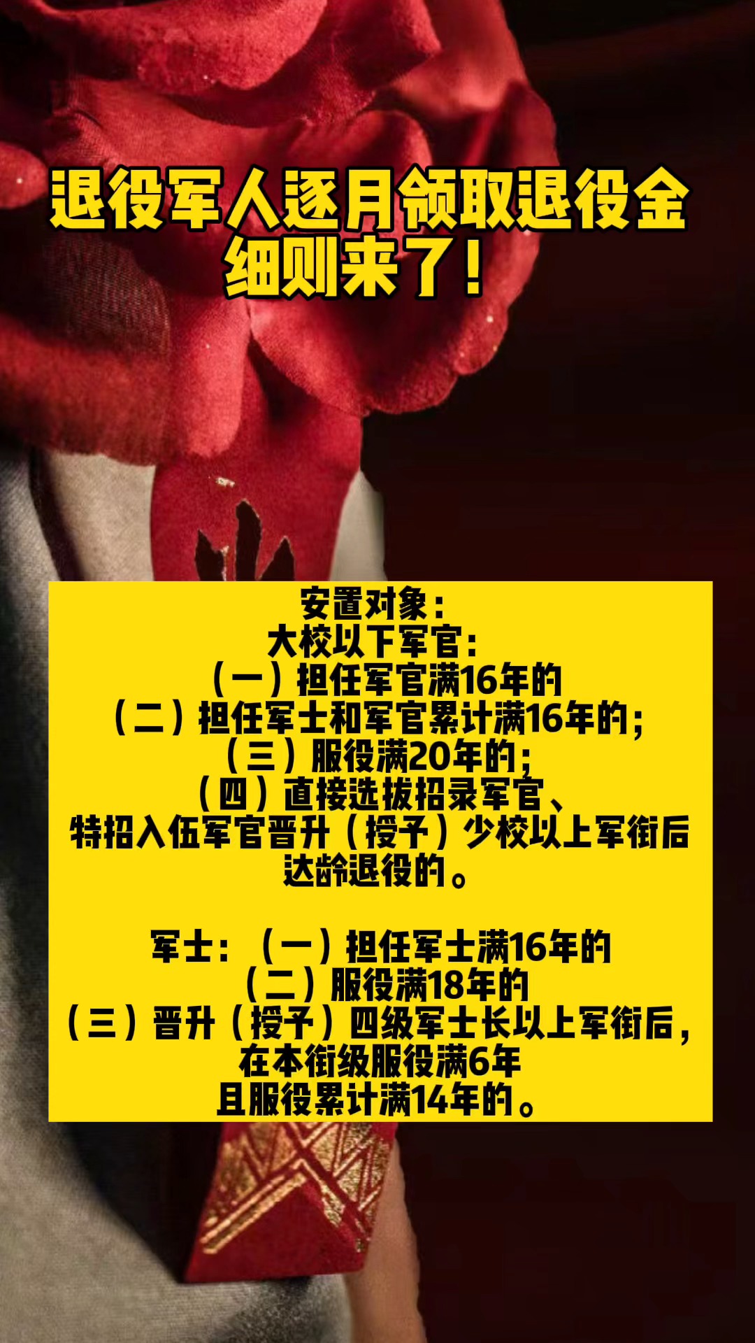 军人逐月细则，深度解读与前景展望，军人逐月细则，深度解读及前景展望