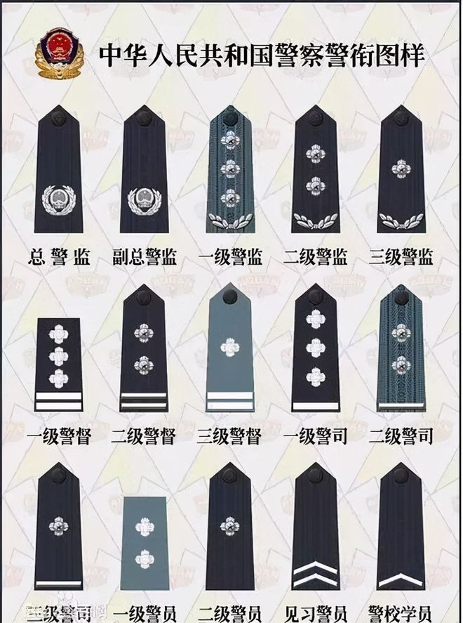 国安新入职警衔初探，国安新入职警衔概览