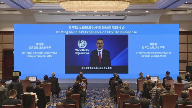 今日国际新闻疫情最新消息，全球抗疫进展与影响分析，全球疫情最新动态，国际抗疫进展及影响分析
